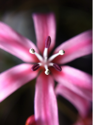 image-20101127190927.png