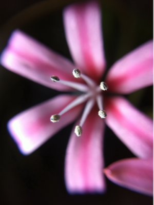 image-20101127190951.png