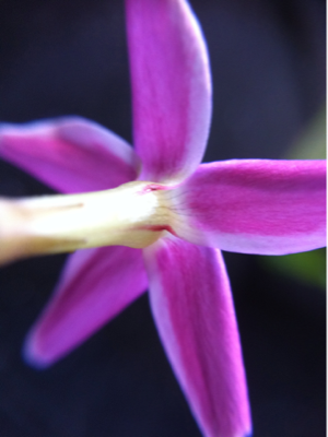 image-20101129123013.png