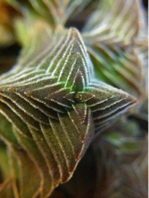 image-20110218125359.png