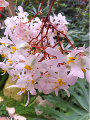 image-20110228215811.png