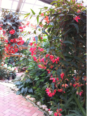 image-20110228220238.png