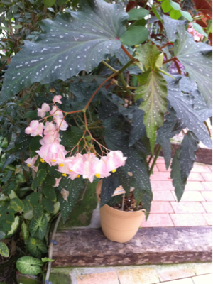 image-20110228220302.png