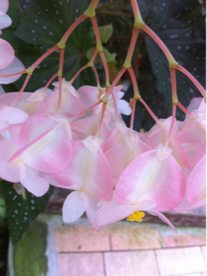 image-20110228220331.png