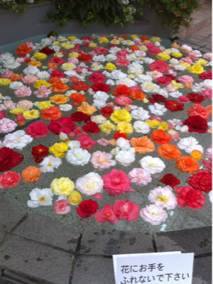 image-20110228220419.png