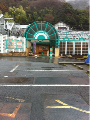 image-20110301164211.png