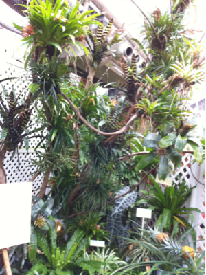 image-20110301171233.png