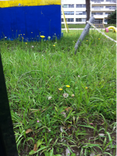 image-20110615120250.png