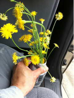image-20110615120514.png