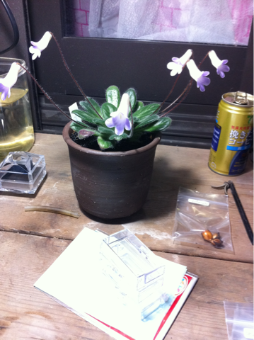 image-20110824125246.png