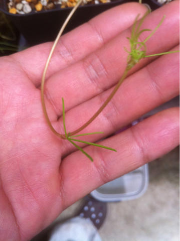 image-20111018124239.png