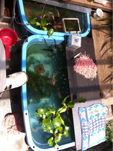 image-20120605220819.png