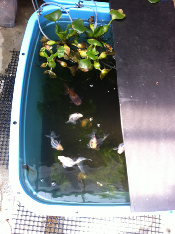 image-20120605222554.png
