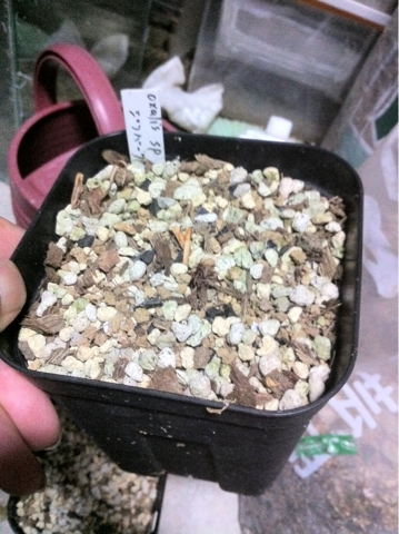image-20120613155350.png