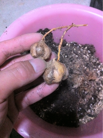 image-20120613155518.png