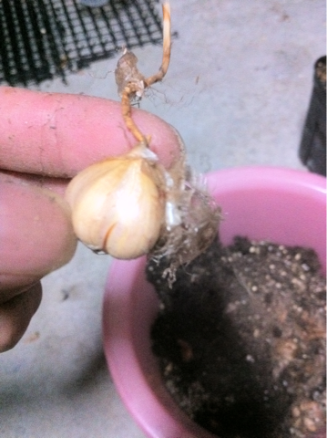image-20120613183733.png