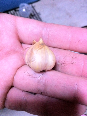 image-20120613183844.png