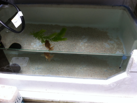 image-20120623141248.png