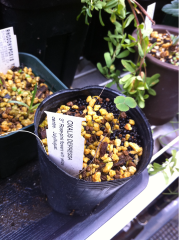 image-20120624121120.png
