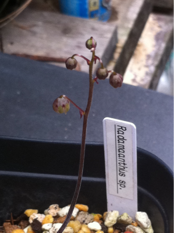 image-20120624121511.png