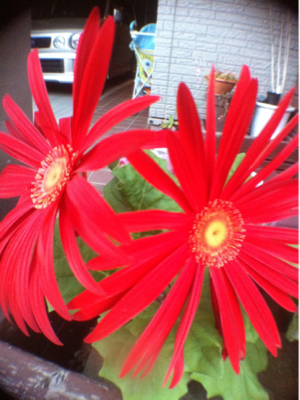 image-20110113222048.png