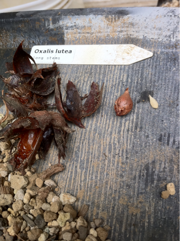 image-20110730151204.png
