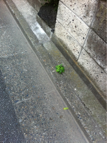 image-20120604172823.png