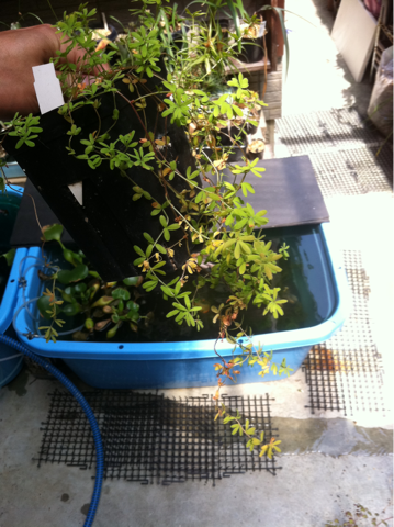 image-20120613083023.png